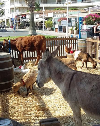 ranch a Grimaud-restaurant a Grimaud-randonnee equestre massif des Maures-centre equestre Cogolin-ferme pedagogique Saint-Tropez-promenade a cheval Sainte-Maxime